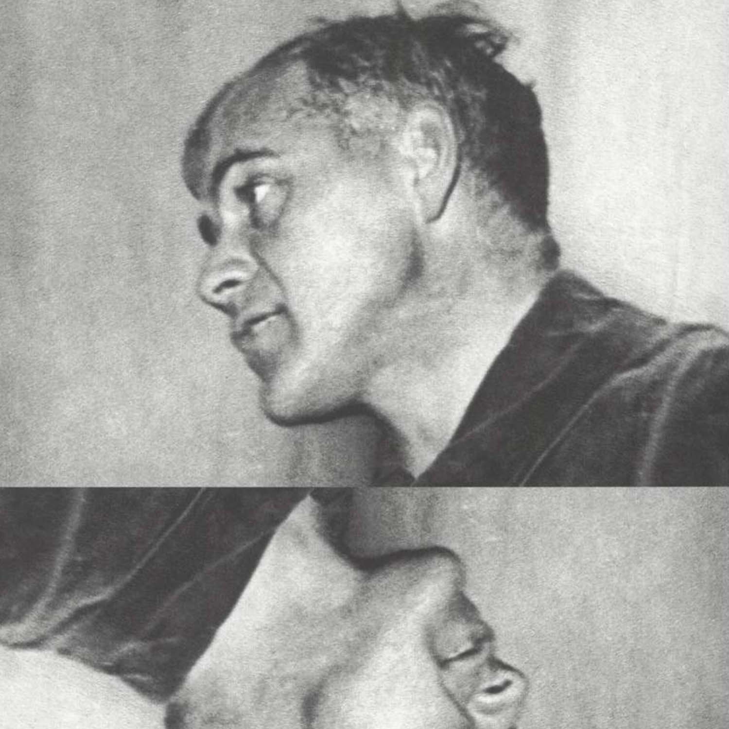 Immagine di  Nella disputa delle interpretazioni